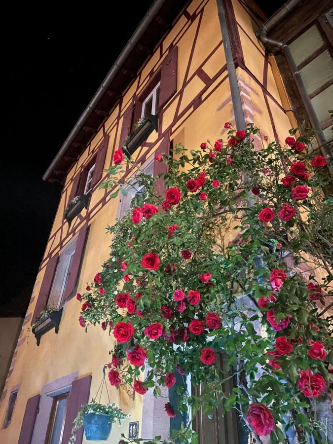 La Chambre Des Trois Eglises Riquewihr Luaran gambar
